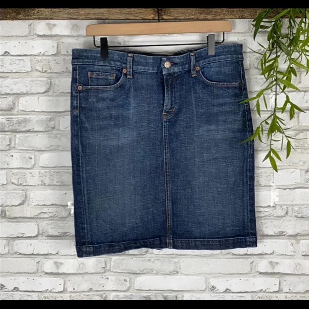 Citizens of Humanity Pencil Jean Skirt